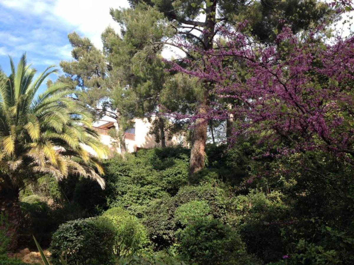 Studio 110 Grande Terrasse Proche Mer Bandol Luaran gambar