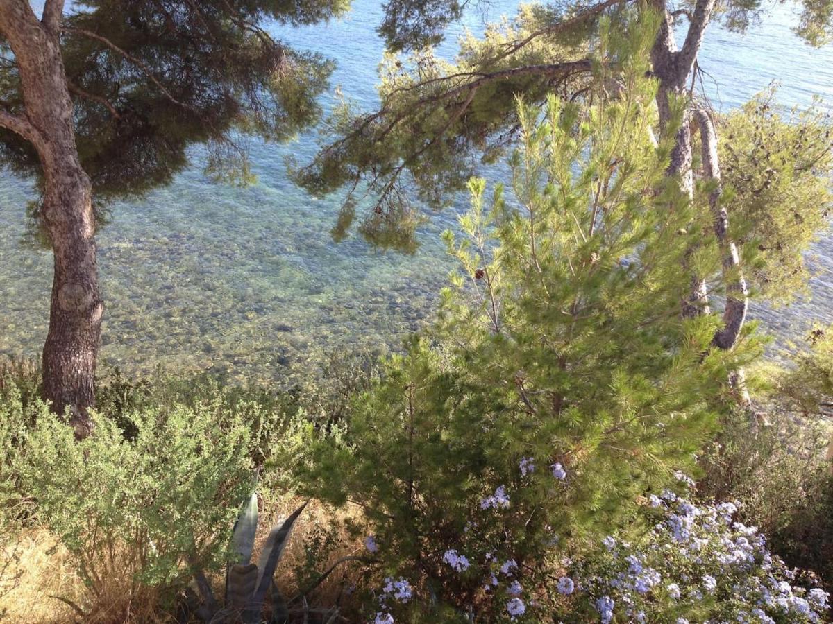 Studio 110 Grande Terrasse Proche Mer Bandol Luaran gambar