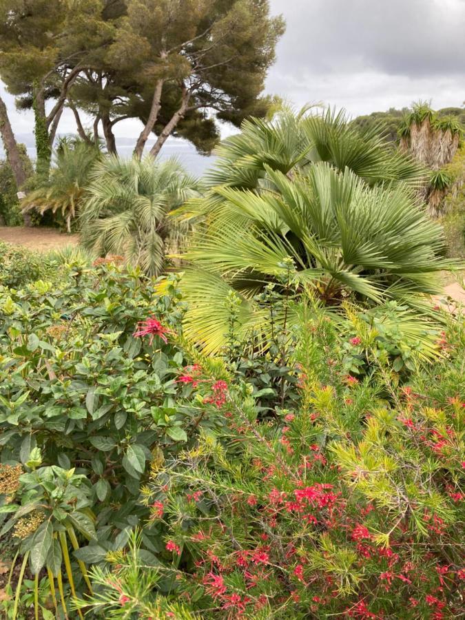 Studio 110 Grande Terrasse Proche Mer Bandol Luaran gambar
